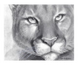 Cougar Pride