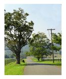 Country Road