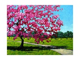 Buy Pink Blossoms on a Summer Day at AllPosters.com