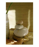 Buy Natural Elements at AllPosters.com