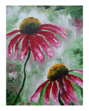 Echinacea