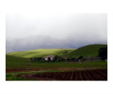 Farmland in Winter