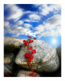 Buy Fresh Air at AllPosters.com