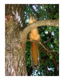Just Hanging Around
