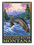 Buy Fly Fishing Scene, Gallatin River, Montana at AllPosters.com