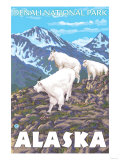Mountain Goats Scene, Denali National Park, Alaska