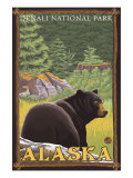 Black Bear in Forest, Denali National Park, Alaska