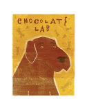 Chocolate Lab