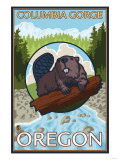 Buy Beaver & River, Columbia Gorge, Oregon at AllPosters.com