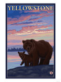 Bear and Cub, Yellowstone National Park