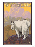 Mountain Goat, Wyoming