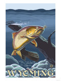 Trout Fishing Cross-Section, Wyoming