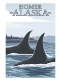 Orca Whales #1, Homer, Alaska