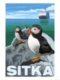 Puffins & Cruise Ship, Sitka, Alaska