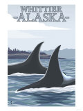 Orca Whales #1, Whittier, Alaska