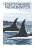 Orca Whales #1, Port Townsend, Washington