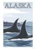 Orca Whales #1, Alaska