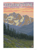 Spring Flowers, Yellowstone National Park