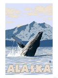 Humpback Whale, Alaska