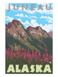 Buy Fireweed & Mountains, Juneau, Alaska at AllPosters.com