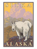 Mountain Goat, Sitka, Alaska