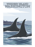 Orca Whales #1, Whidbey, Washington