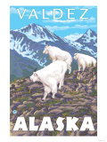 Mountain Goats Scene, Valdez, Alaska