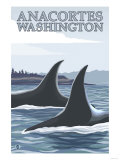 Orca Whales #1, Anacortes, Washington