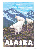 Mountain Goats, Alaska
