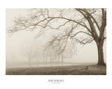Buy Layers of Trees I at AllPosters.com