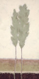Evergreen II