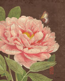 Garden Peony I