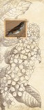 Buy Spring Bird I at AllPosters.com