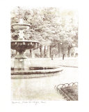 Place des Vosges, Fountain