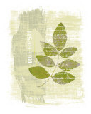 Buy Refresh at AllPosters.com