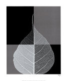 Crystalline Form I