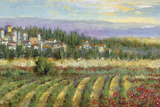 Tuscan Spring II