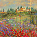 Buy Provencal Village XI at AllPosters.com