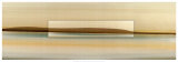 Sandstone