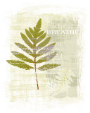 Buy Breathe at AllPosters.com