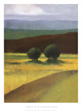 Buy Field of Light at AllPosters.com