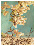 Buy Jardin Floral I at AllPosters.com