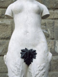 Buy Modesty', Florence, Tuscany, Italy, Europe at AllPosters.com