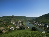 Cochem and the Mosel River, Rhineland-Pfalz, Germany, Europe