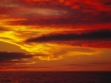 Buy Dramatic Sky and Red Clouds at Sunset, Antarctica,, Polar Regions at AllPosters.com