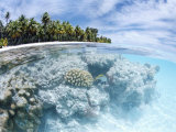 Buy Fakarawa, Tuamotu Archipelago, French Polynesia, Pacific Islands, Pacific at AllPosters.com