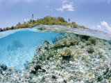 Buy Tikeau, Tuamotu Archipelago, French Polynesia, Pacific Islands, Pacific at AllPosters.com