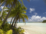 Blue Lagoon, Rangiroa, Tuamotu Archipelago, French Polynesia, Pacific Islands, Pacific