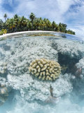 Buy Fakarawa, Tuamotu Archipelago, French Polynesia, Pacific Islands, Pacific at AllPosters.com