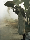 Buy Woman Sifting Grain, Vaishali, Bihar State, India, Asia at AllPosters.com